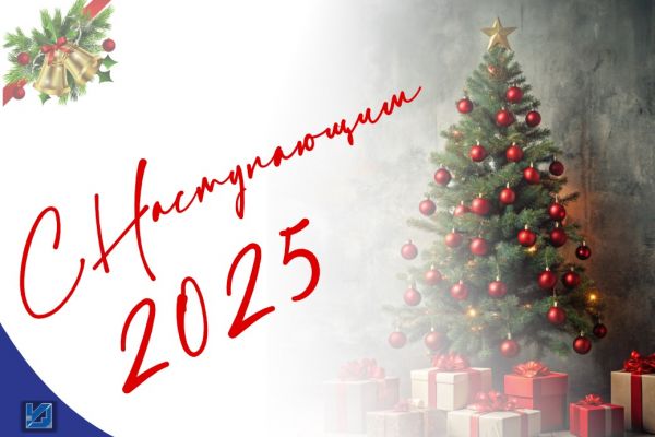Изображение WhatsApp 2024 12 02 в 15.56.55 eec3955f