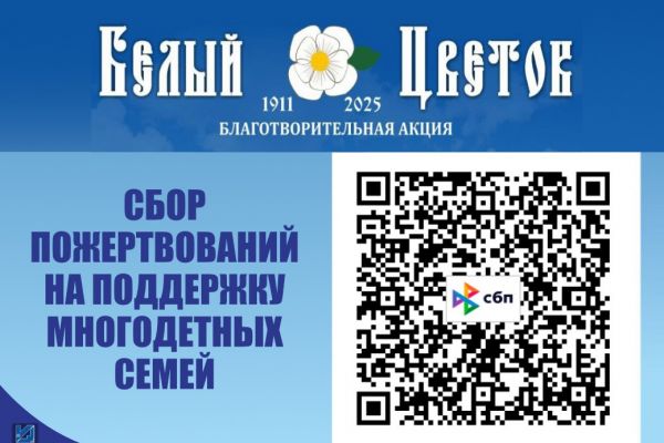 Изображение WhatsApp 2025 05 26 в 17.17.44 5817c7d5