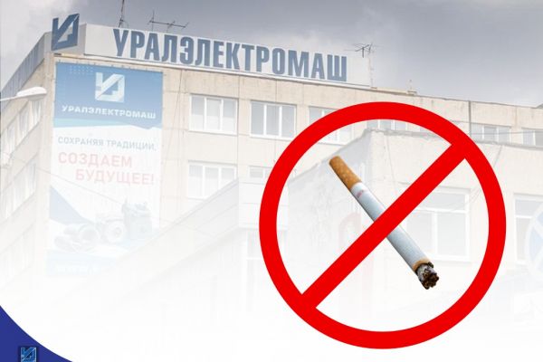 Изображение WhatsApp 2025 11 19 в 10.24.34 568df666